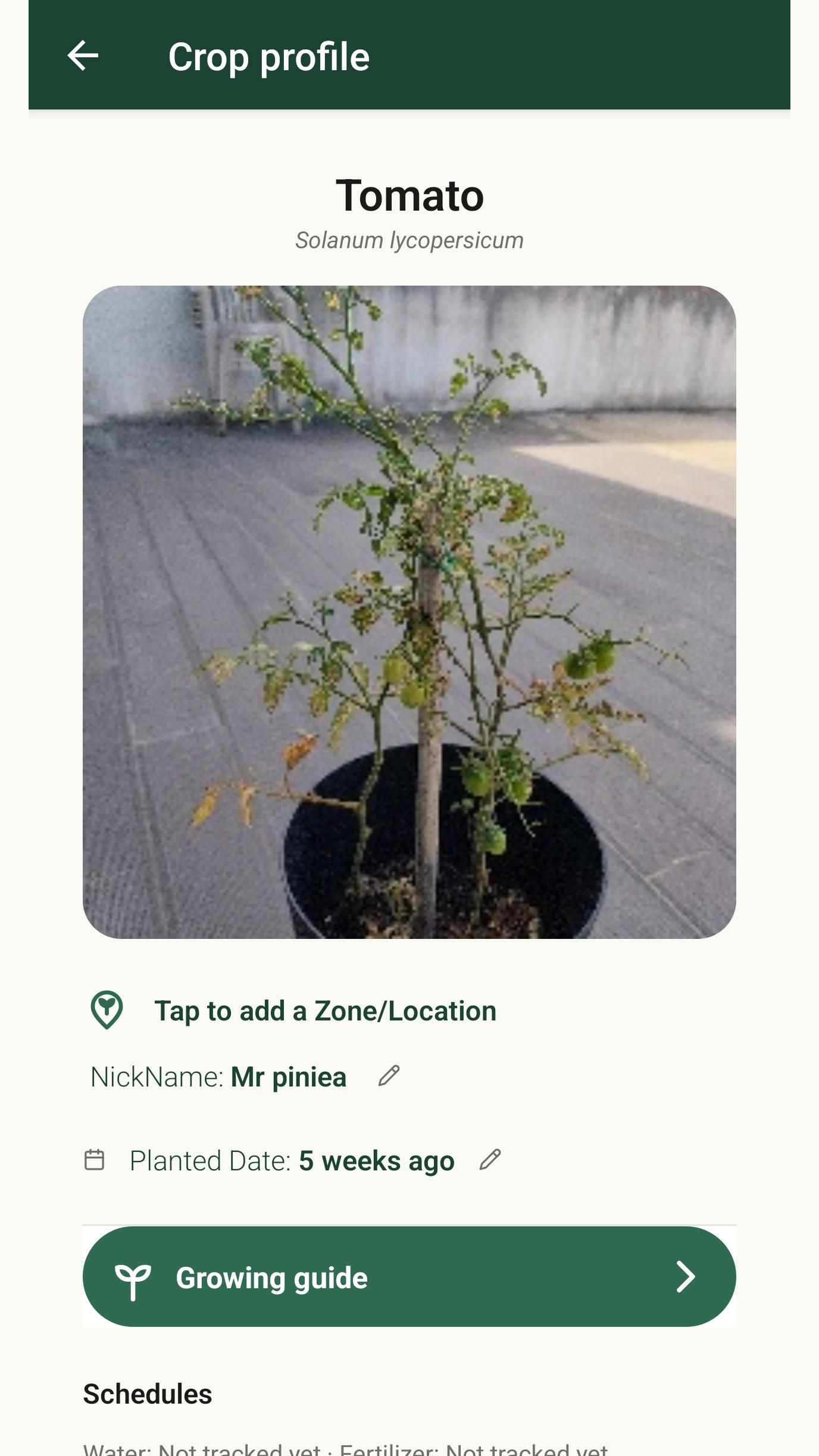Tomato crop profile showing its nickname, planted date, zone and buttons to access its growing guide and care settings