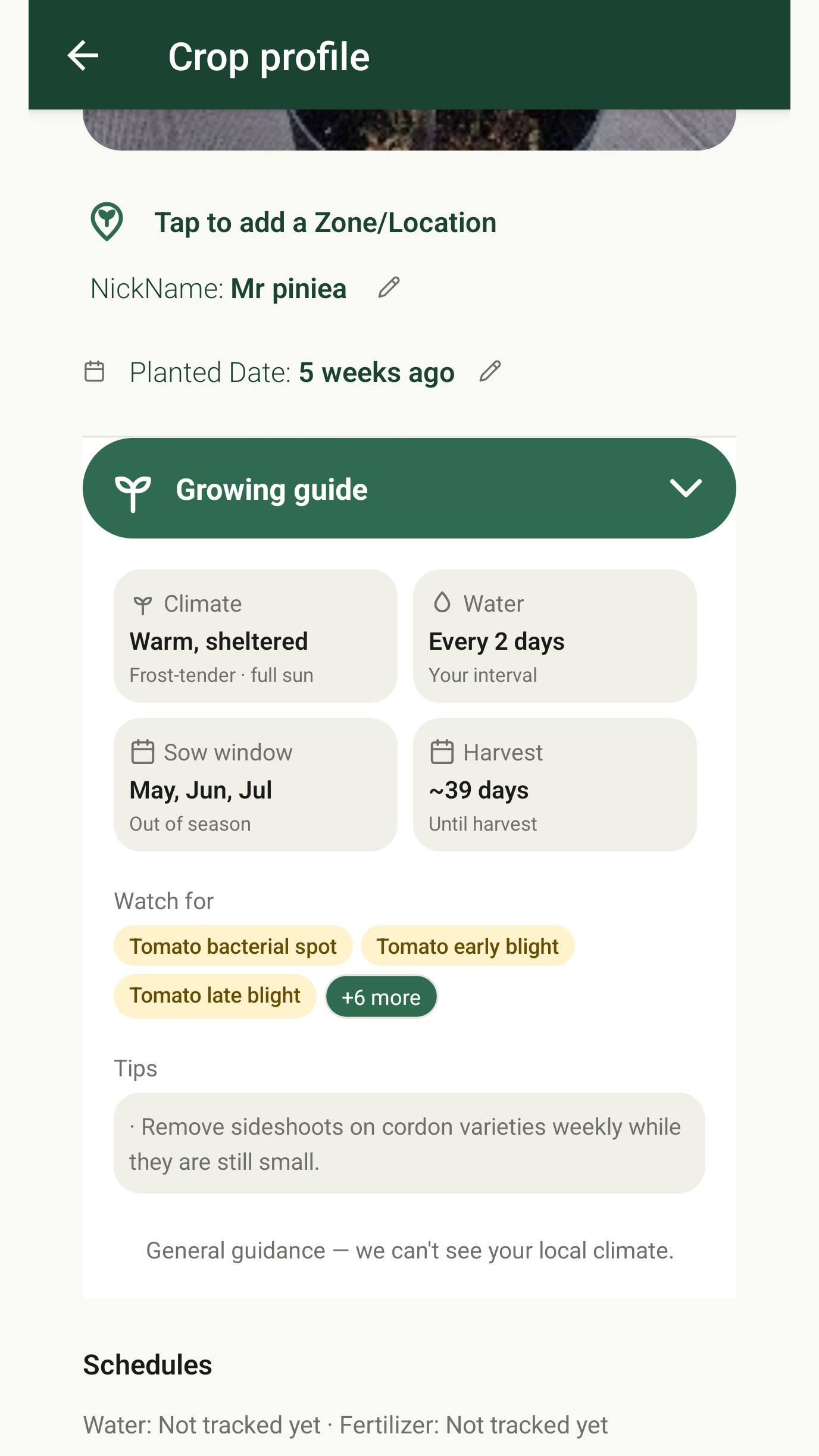 Growing guide expanded on the crop profile, listing climate requirements, watering schedule, sow window, harvest window, disease risk chips and care tips